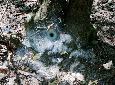 Long Hunter Park, Tennessee