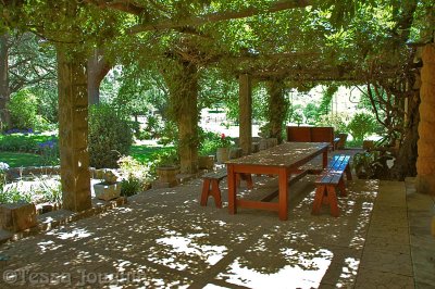Broad veranda under a wisteria vine