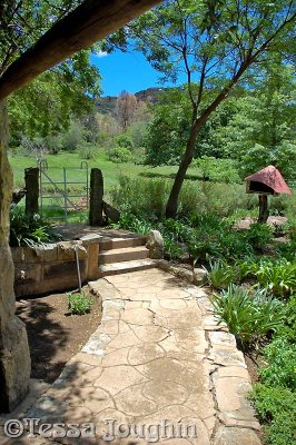 Pathway from guest cottage to paddocks and sheds