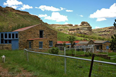 Sheds and stables