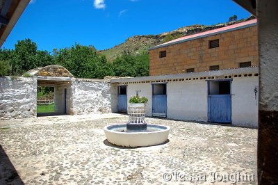 Stable courtyard