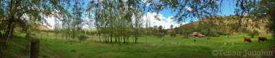 Looking back at homestead from the paddocks