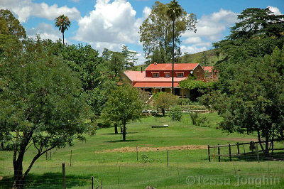The homestead from across the paddocks