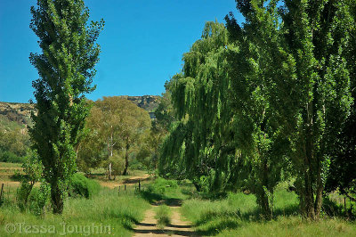 The farm road to Keble