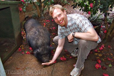 Daniel feeding Chops the pot-bellied pig
