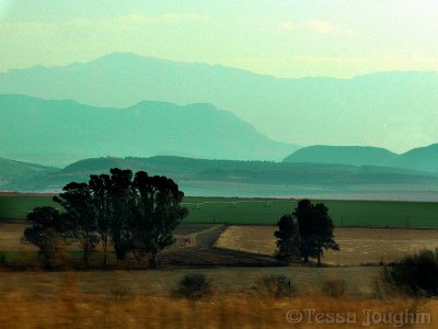 The Drakensberg in the distance