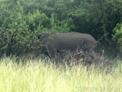 She turned and went into the bush