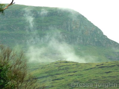 The mist boiled on Gilboa like a cauldron