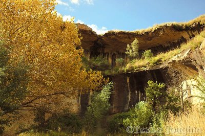 Grasses and ferns cling to the undercut cliff face