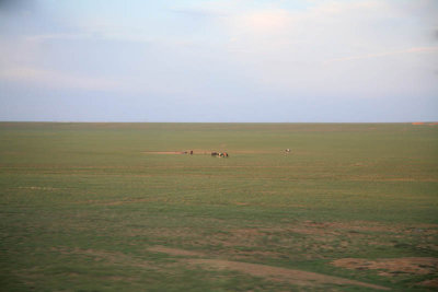 Beginning of the Grasslands