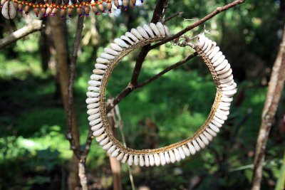 Cowry Shells