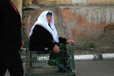 Dual Purpose Shopping Cart