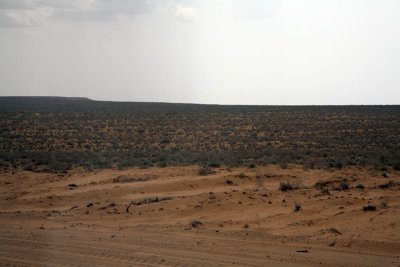 Kyzyl Kum Desert (Red Sands)