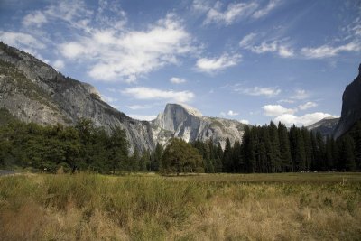 Half Dome from Ahwahnee Meadow