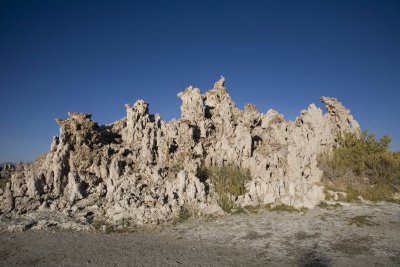 XIMG_7486.jpg