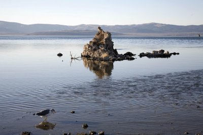 XIMG_7507.jpg