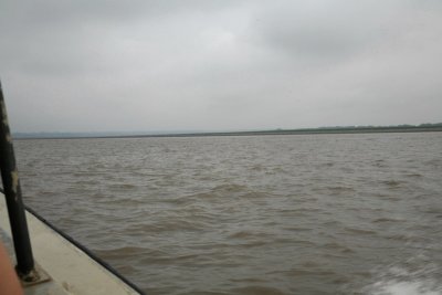 Amazon River