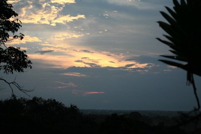 Sunset in the Jungle