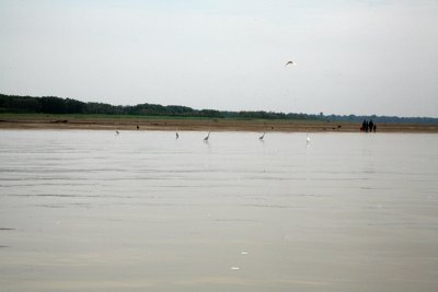 XIMG_2400.jpg