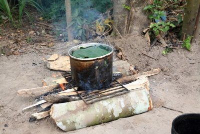 Cooking manioc (yucca) for a drink