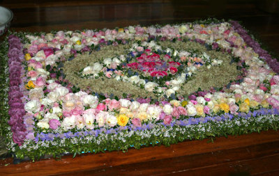 0559- roses on display in renmark