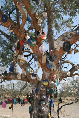 0547- hat tree on old renmark road