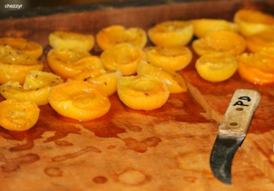 0566- riverland cut apricots (renmark)