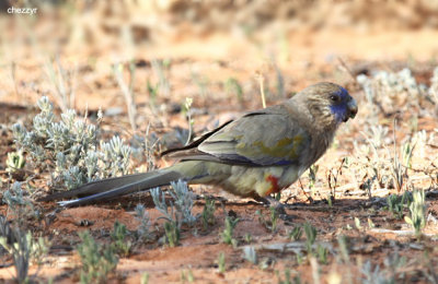 g1/24/475724/3/105436587.1yTBoUAB.jpg