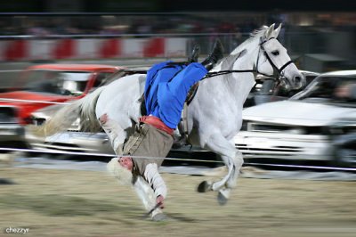 Royal Melbourne Show - Horses