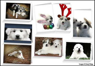 Some of my puppy cards from Redbubble