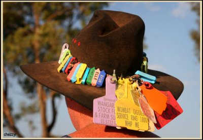 3056-rodeo-hat-tags.jpg