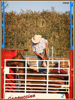 3115-rodeo-bronc.jpg