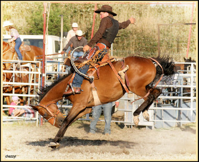 3162-rodeo-bronc.jpg