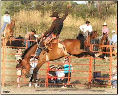 3164-rodeo-bronc.jpg