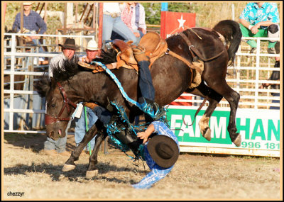 3190-rodeo-bronc.jpg