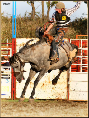 3196-rodeo-bronc.jpg