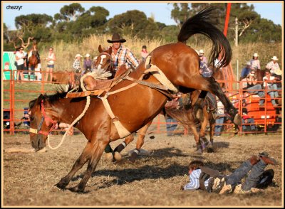 3215-rodeo-bronc.jpg