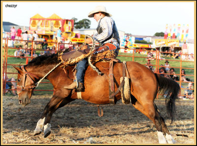3261-rodeo-bronc.jpg