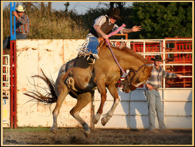 3302-rodeo-bronc.jpg