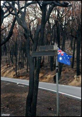 5675 - Australian flag, burnt street sign and trees