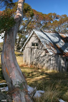 0031-wallaces-hut