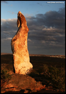6905- Sculpture Symposium within the Living Desert, Broken Hill