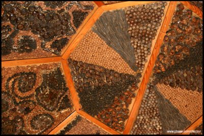 7313- seed pod ceiling at australian summer house, Inland Botanic Gardens