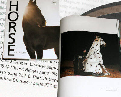 We met Regal the Appaloosa who still loves performing. My picture of him is in Kelly Klein's Horse book.