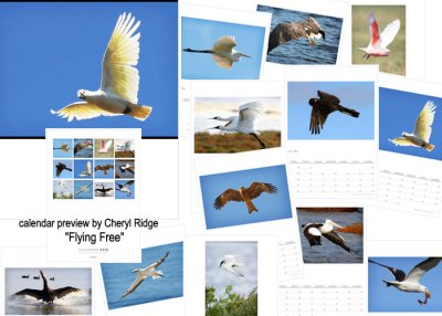 Flying Free birds calendar created on Redbubble by Cheryl Ridge