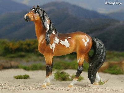 Breyer repainted