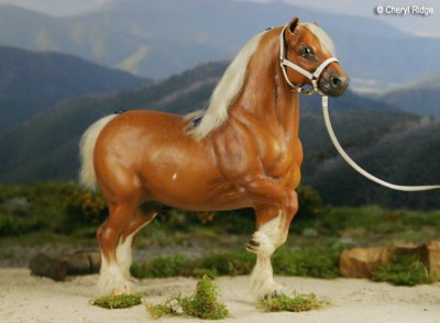 Breyer Belgian cm by Julie Froelich