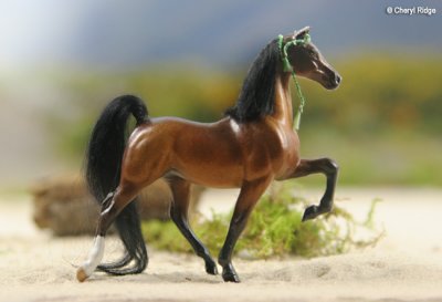 Breyer Stablemate Saddlebred CM by Conger and Harmon