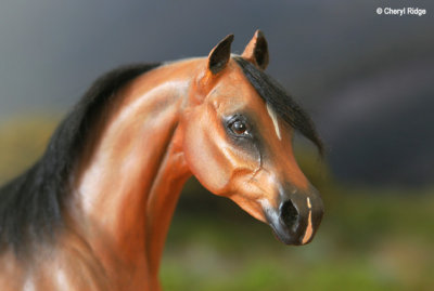 Breyer classic arab mare cm by Lisa Rivera ( Shepard )