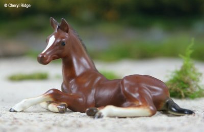 Josef Original foal in matte dark chestnut